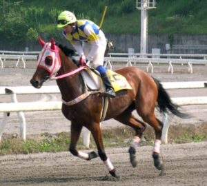 ハルウララ　競走馬　画像③