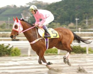 ハルウララ　競走馬　画像①