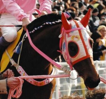 ハルウララの戦績や死因の疝痛（せんつう）って何？武豊のコメントも気になる！